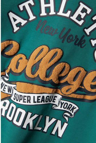Name it MINI longsleeve NKMVUX met printopdruk antiek groen Jongens Stretchkatoen Ronde hals 122 128 - Foto 2