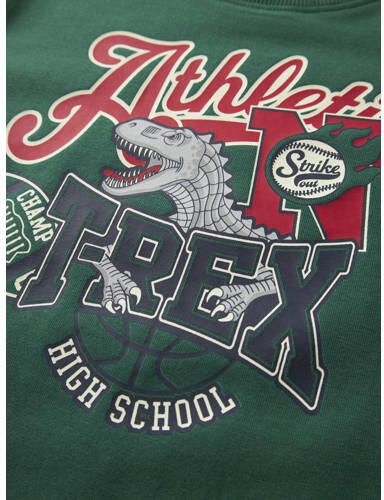 NAME IT MINI rechtvallende longsleeve met print groen Jongens Stretchkatoen Ronde hals