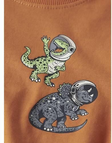 NAME IT MINI rechtvallende longsleeve met print oranje Jongens Katoen Ronde hals - Foto 2