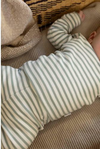 Noppies baby gestreepte longsleeve groen ecru Stretchkatoen Ronde hals - Foto 3