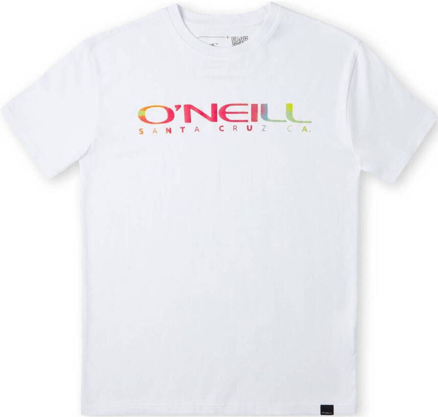 O'Neill T-shirt Sanborn met logo wit Jongens Katoen Ronde hals Logo 140