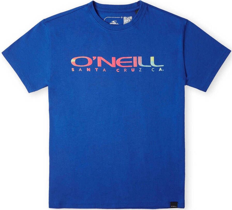 O'Neill T-shirt Sanborn met logo blauw Jongens Katoen Ronde hals Logo 104