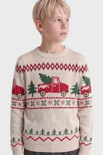 ONLY & SONS JUNIOR gebreide kersttrui met print beige rood groen Jongens Acryl Ronde hals