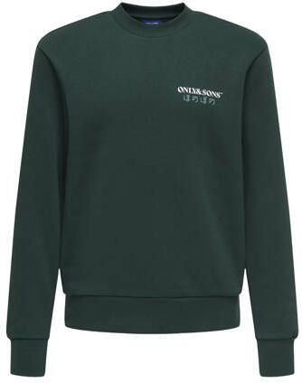 ONLY & SONS JUNIOR sweater met backprint groen Backprint