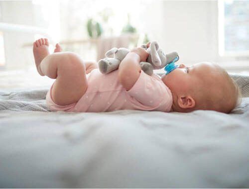 Philips Avent Snuggle SCF348 13 speenknuffel olifant Fopspeen - Foto 3