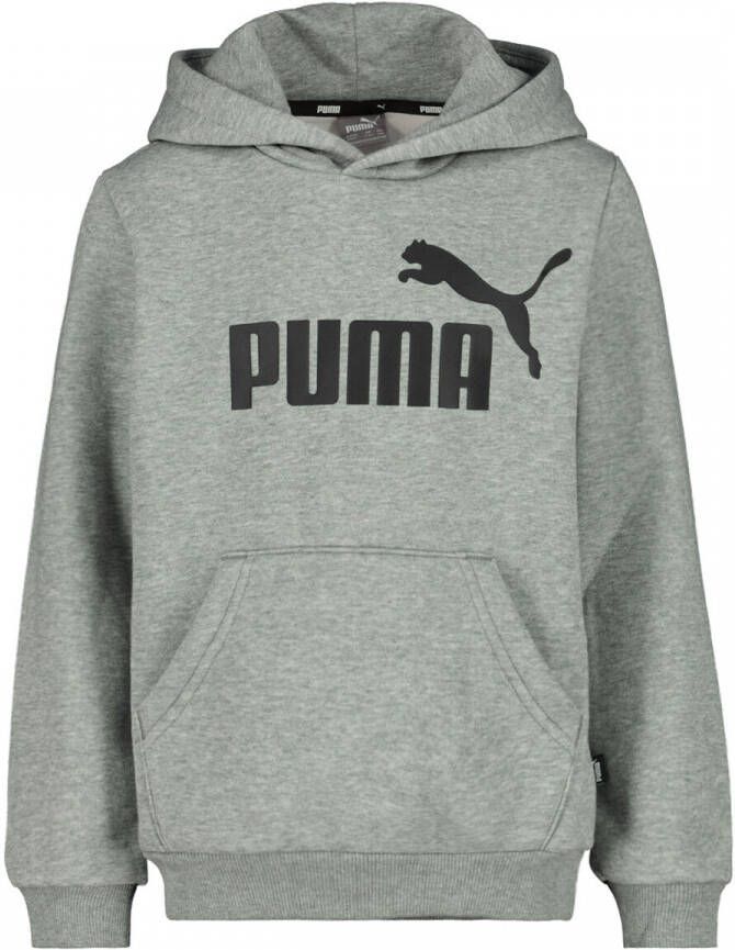 Puma Essentials Big Logo Hoodie Junior