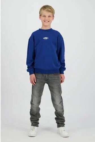 Raizzed straight leg jeans grey denim Grijs Effen