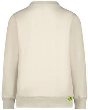 Raizzed sweater Nam met printopdruk greige Grijs Printopdruk 128