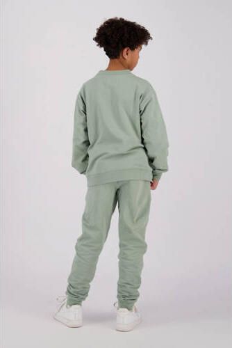 Raizzed sweater Oxnard met printopdruk zachtgroen Printopdruk 152
