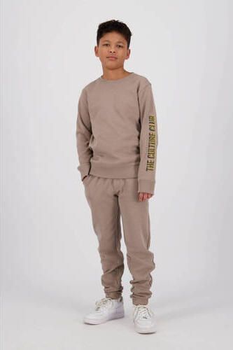 Raizzed sweater Viceton met tekst beige Tekst 140 - Foto 2