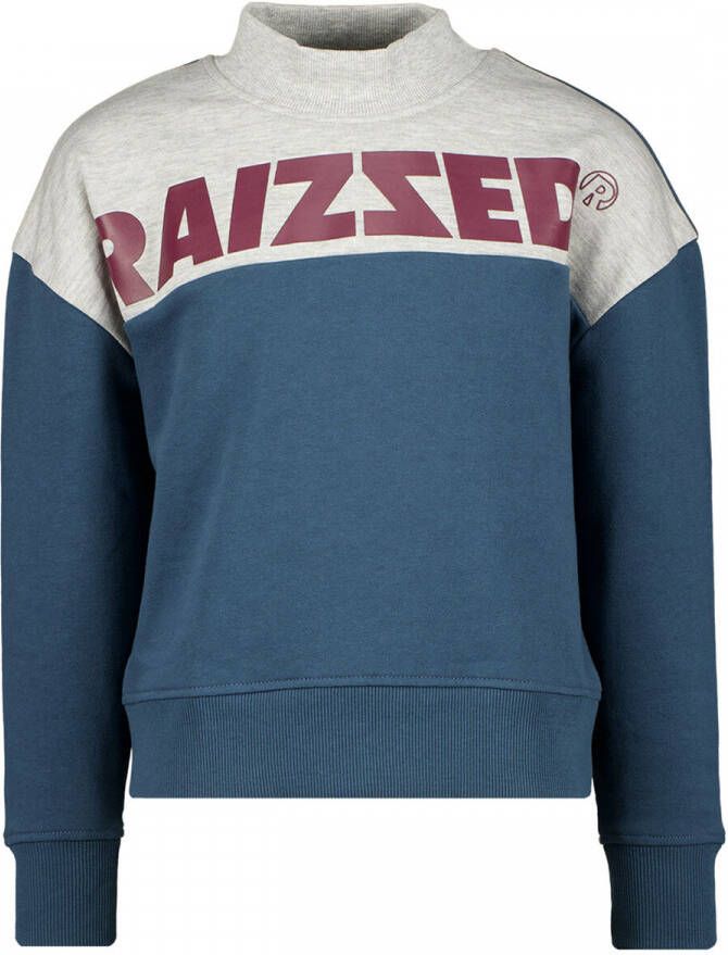 Raizzed sweater blauw Meisjes Katoen Ronde hals Meerkleurig 128