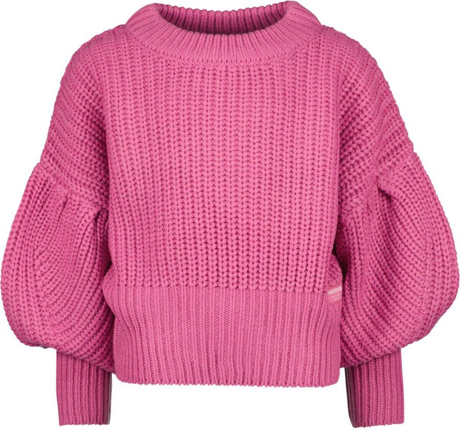 RAIZZED Meisjes Truien & Vesten Derby Roze