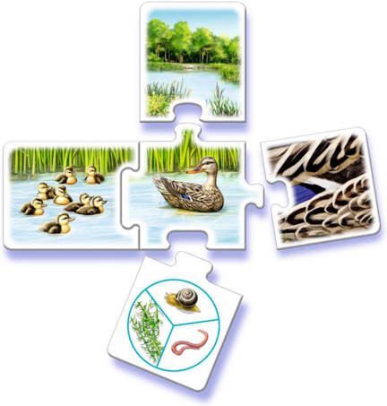 Ravensburger Tiptoi Spel al mijn dieren Educatief speelgoed - Foto 3