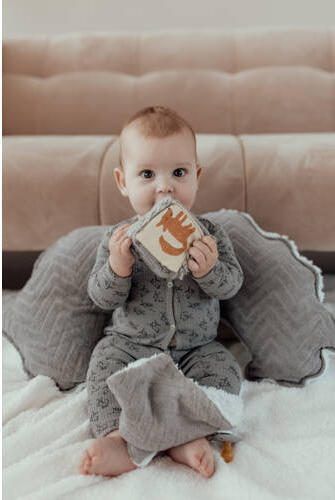 Snoozebaby boxpak cloudy grey Romper Grijs Katoen Ronde hals 50 56 - Foto 3