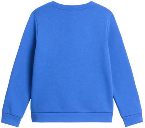 The North Face Evolution Simple Dome sweater blauw Effen
