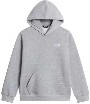 The North Face Evolution Simple Dome sweater grijs Effen