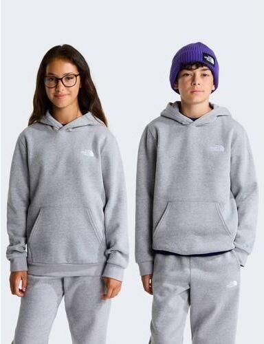 The North Face Evolution Simple Dome sweater grijs Effen - Foto 2