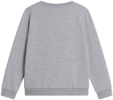 The North Face Evolution Simple Dome sweater grijs Effen