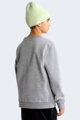 The North Face Evolution Simple Dome sweater grijs Effen - Foto 2