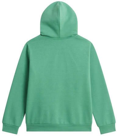The North Face Evolution Simple Dome sweater groen Effen - Foto 3