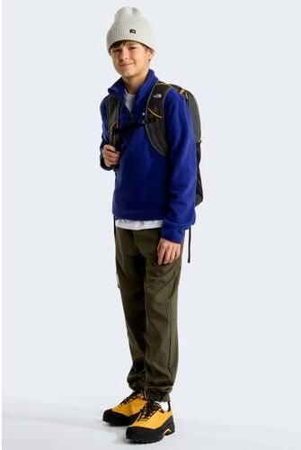 The North Face Glacier sweater blauw Fleece Opstaande kraag