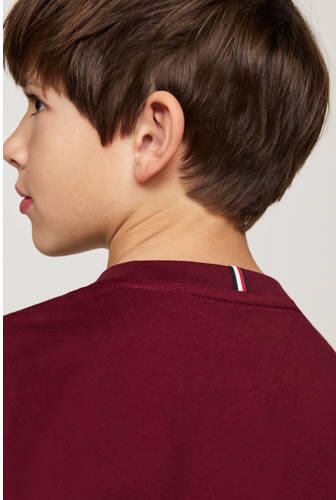 Tommy Hilfiger longsleeve Roze Jongens Katoen Ronde hals Effen 152