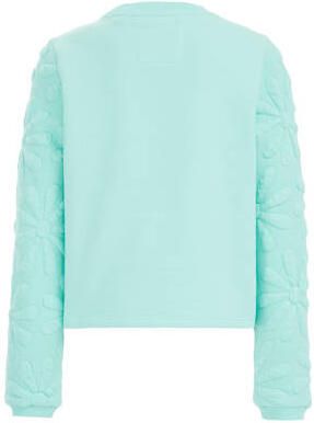 WE Fashion sweater turquoise Blauw Effen 98 104 | Sweater van