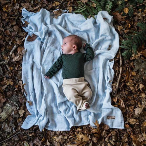 WildWood swaddle 65x65 cm French Summer stripes Hydrofiele luiers Blauw - Foto 3