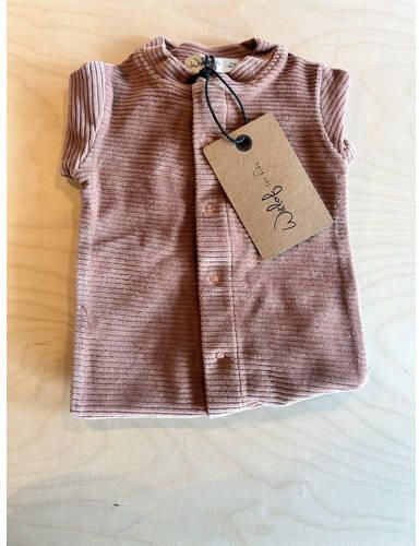 Witlof for kids boxpakje Dusty Pink velvet rib Roze Meisjes Fluweel Ronde hals - Foto 2