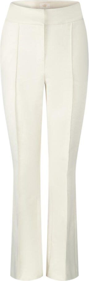 Aaiko Pantalon Hanna Shine CO 62 Beige Dames