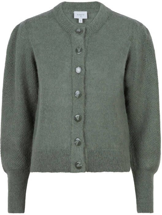 Dante 6 Alpaca vest Handsome groen