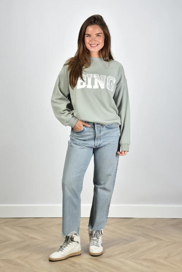 Agolde jeans 90s Crop A173-1206 nerve