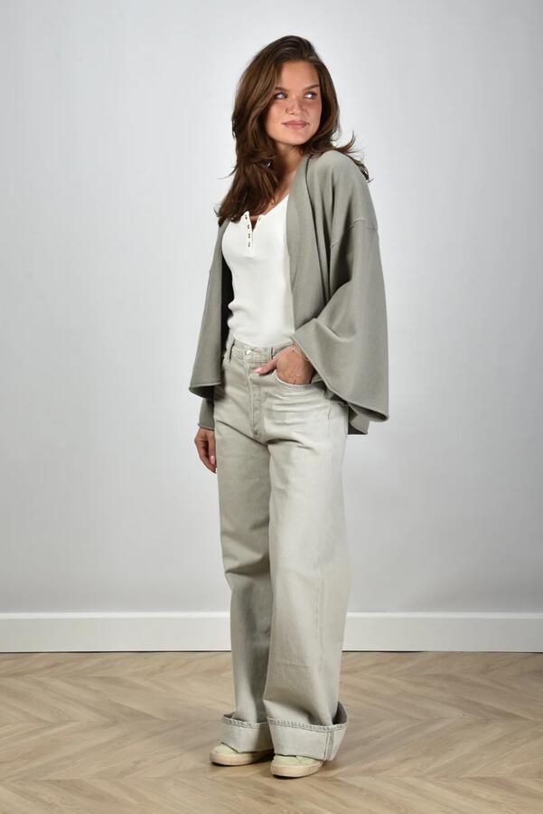 Agolde jeans Dame No Cuff A198-1207 colina