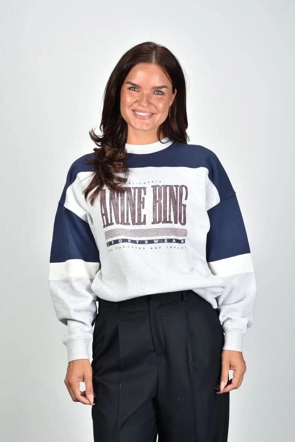 Anine Bing trui Miles Sport Colorblock A-23-13090-GRY1 grey