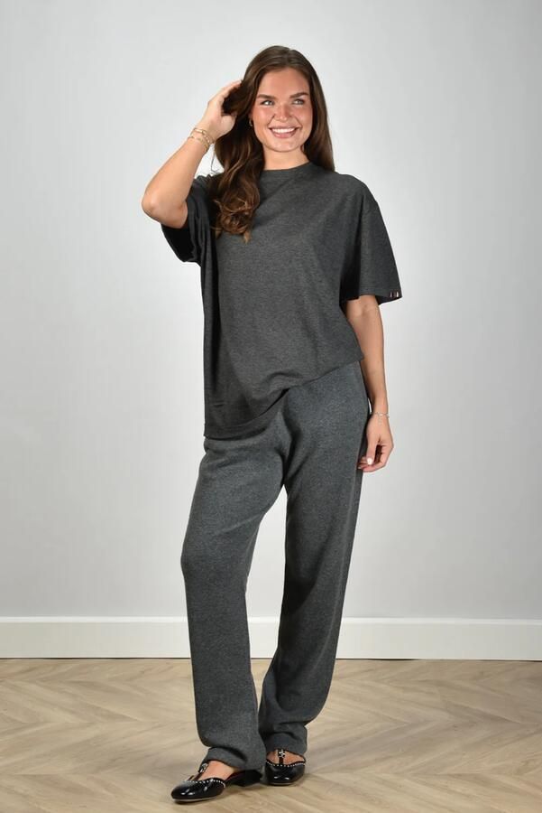 Extreme Cashmere t-shirt Rik 269 felt