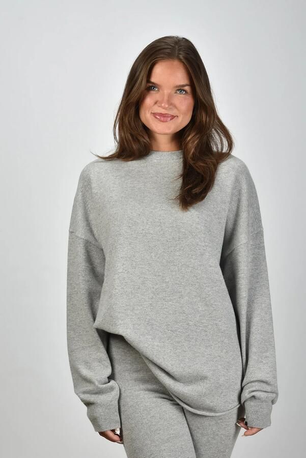 Extreme Cashmere N53 Crew Hop Sweater Gray Heren