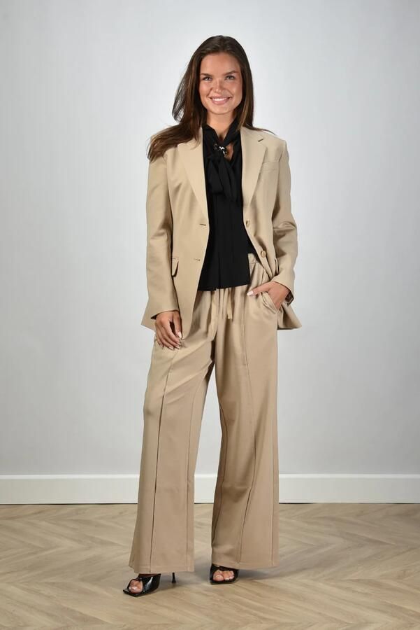 Max Mara Weekend broek Sub 002 beige