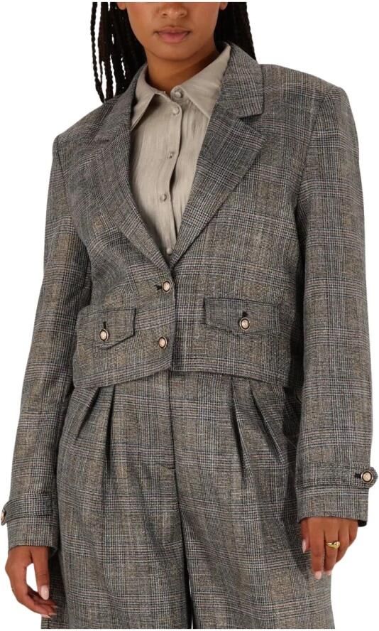 Aaiko Chique Tweed Blazer met Glitterdraad Gray Dames - Foto 7