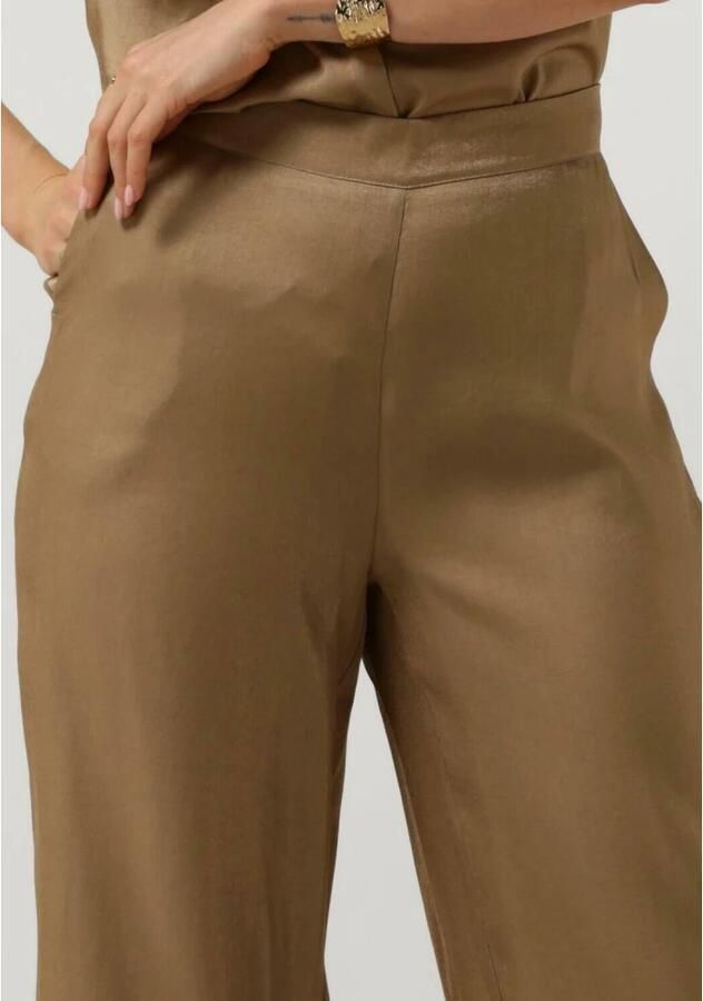 AAIKO Dames Broeken Searle Shimmery Vis 355 Groen