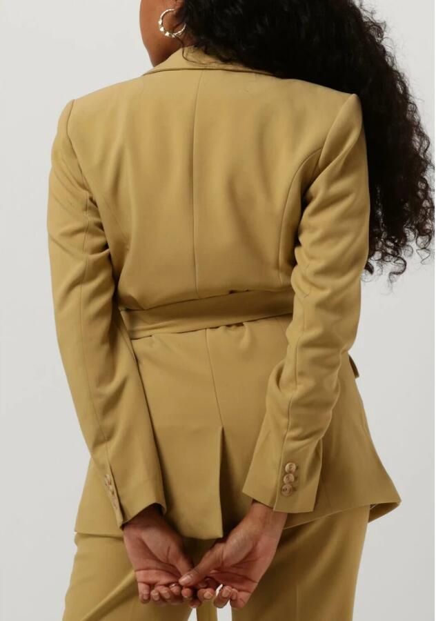 Aaiko Olijfgroene Damesblazer Perize Vis Yellow Dames - Foto 4