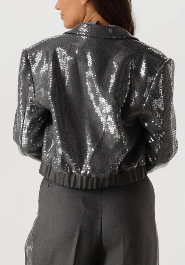 Aaiko Pailletten blazer voor glamoureuze avonden Gray Dames - Foto 6