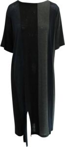 Acne Studios Pre-owned Pre-owned Loose Fitting Panel Dress Blauw Dames