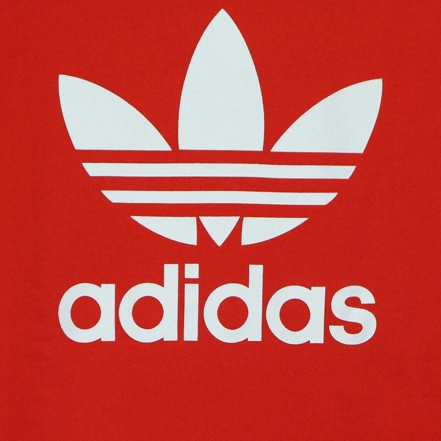 Adidas Originals Hoodie ADICOLOR CLASSICS TREFOIL HOODIE