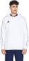 Adidas FutuIcons 3-Stripes Full-Zip Hoodie White Heren - Thumbnail 2