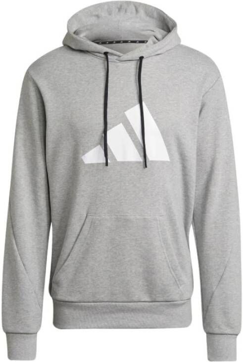 Adidas Hoodies Grijs Heren