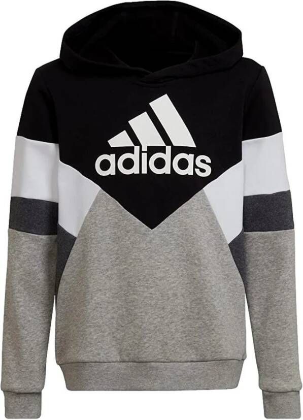 Adidas Sportswear Sweatshirt COLORBLOCK FLEECE HOODIE
