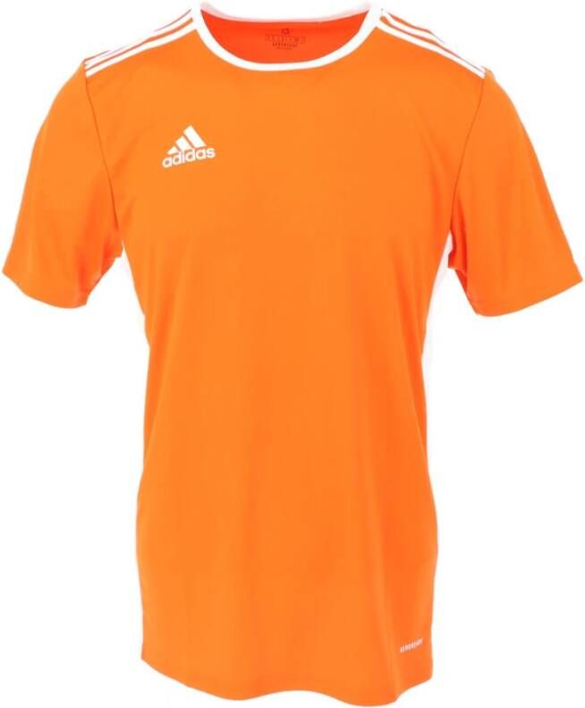 Adidas Men& T-shirt Oranje Heren