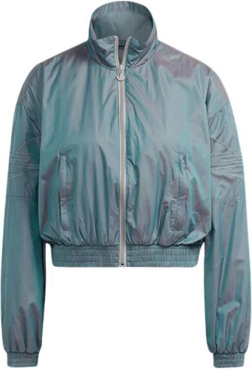 adidas Originals Bluza Iridescent Track Top H35893 Grijs Dames