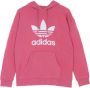 Adidas Oversized Hoodie met Capuchon Roze Dames - Thumbnail 1