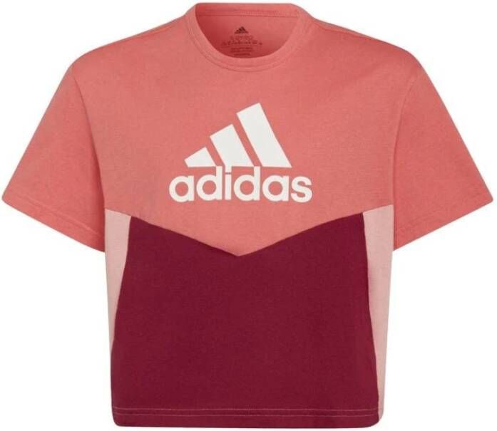 Adidas Sportswear Colorblock T-shirt